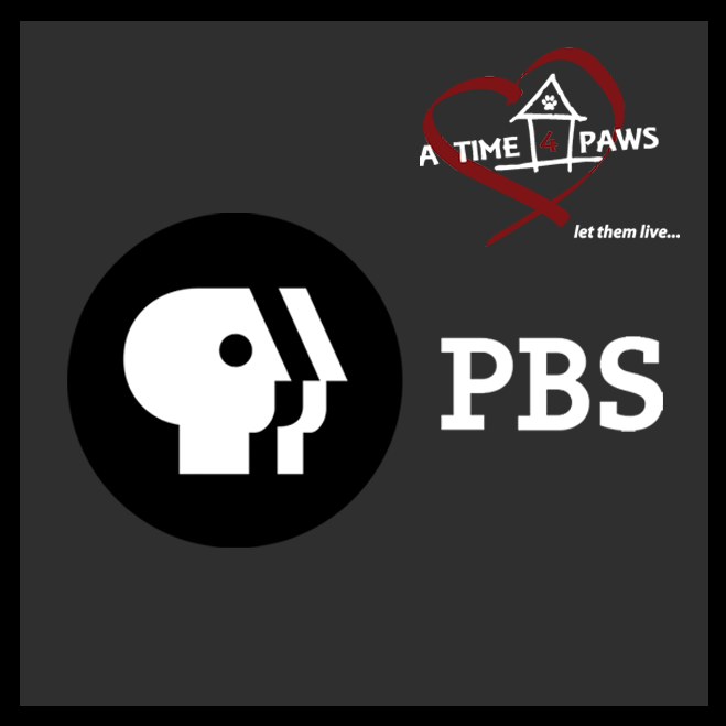 PBS RECOGNIZES A TIME 4 PAWS AND OUR DEDICATION TO HOMELESS PETS